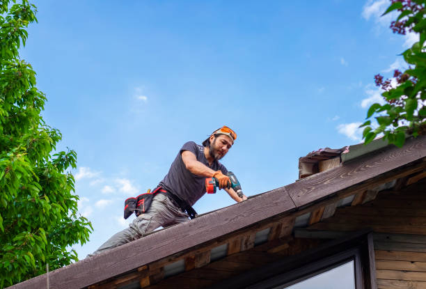 Best Roof Coating and Sealing  in Rocky Mount, NC