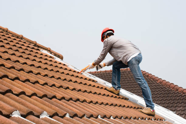 Best Rubber Roofing (EPDM, TPO)  in Rocky Mount, NC