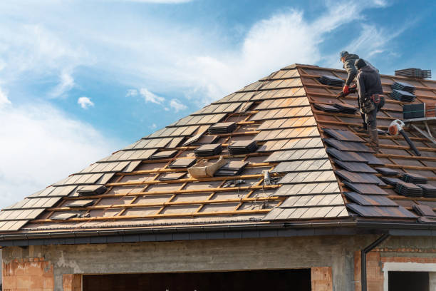 Best Metal Roofing Installation  in Rocky Mount, NC