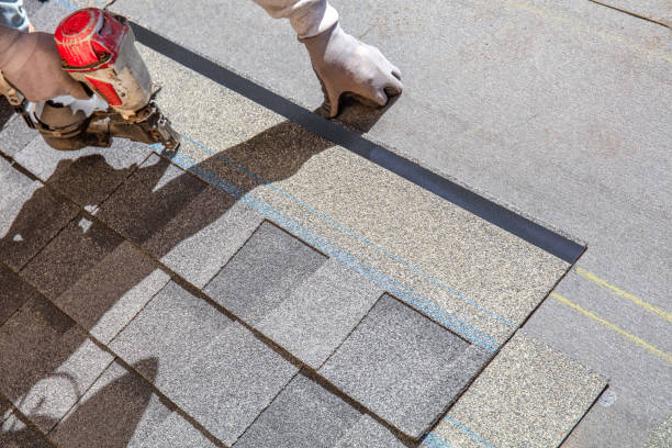 Best Chimney Flashing Repair  in Rocky Mount, NC